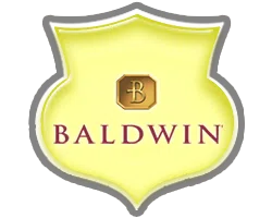 logo-image - brands-top-baldwin